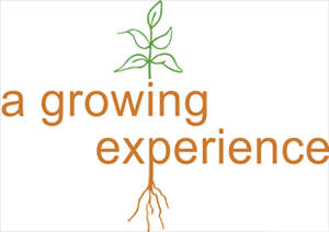 experience2